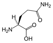 L-Glutamin in Keto Diet