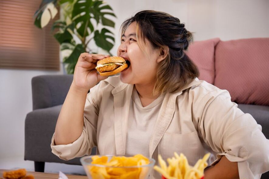 Junk Food führt zu Übergewicht